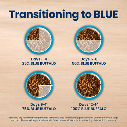 Adult Dry Dog Food for Daily Nutrition
